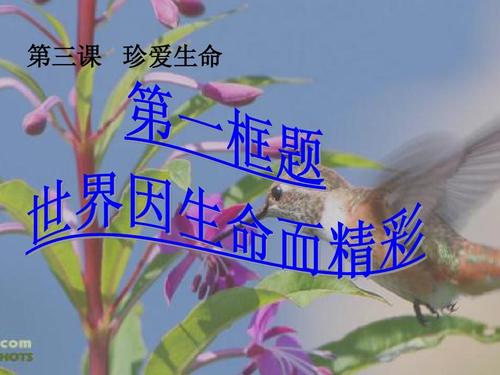 因为生活而精彩
