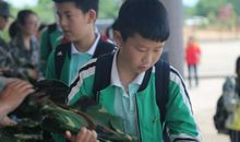 参观叶店文化礼堂“双堂双进”有感