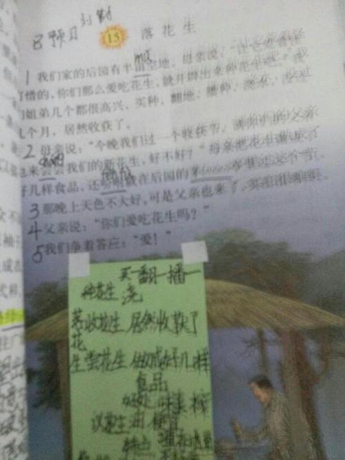 我周围像花生一样的人写的400字的文章