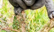 让人气愤的一个晚上