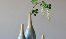 我家的陶瓷花瓶