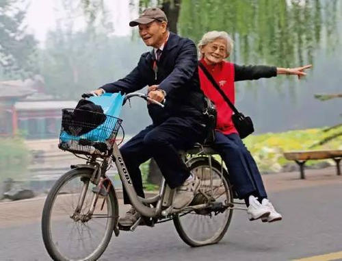 自行车与汽车之间的争吵
