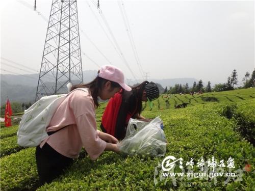 探索团队社交实践活动