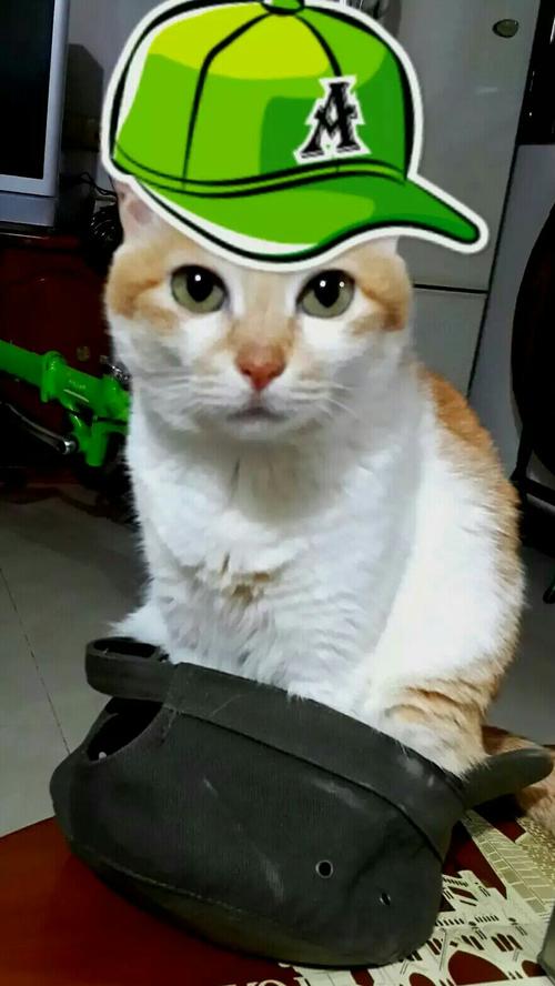 我家