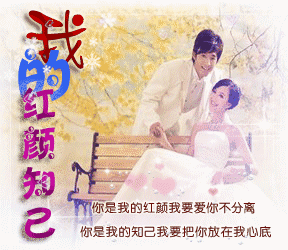 我的老师我的知己