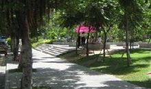 家乡的紫光公园