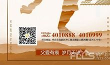 父爱相伴学琴路