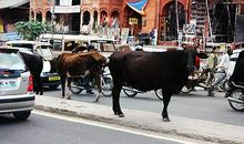 “窃读”与“窃喜”