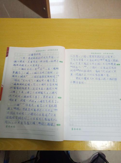 三年级下册2个奇妙的想象力作文300字