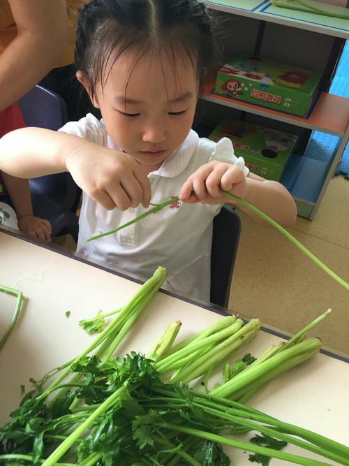 努力成为厨房的小帮手
