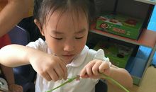 争做厨房小帮手