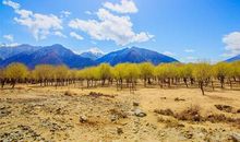 如诗如画的大自然