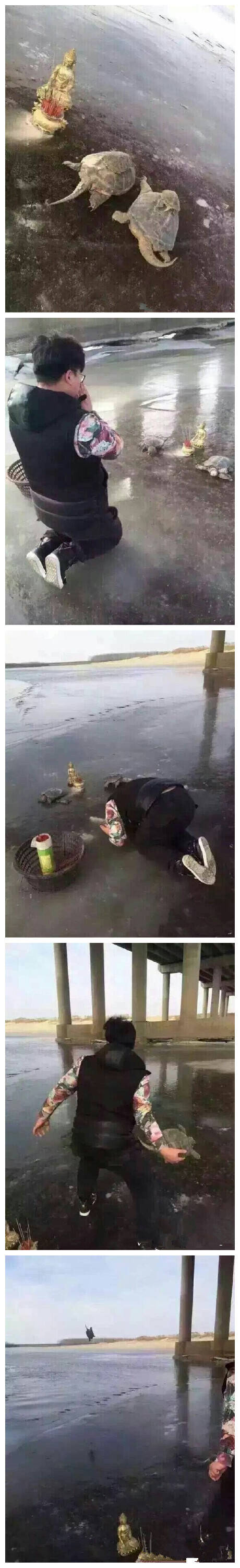 我的发行经验之一