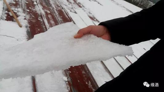 铲雪