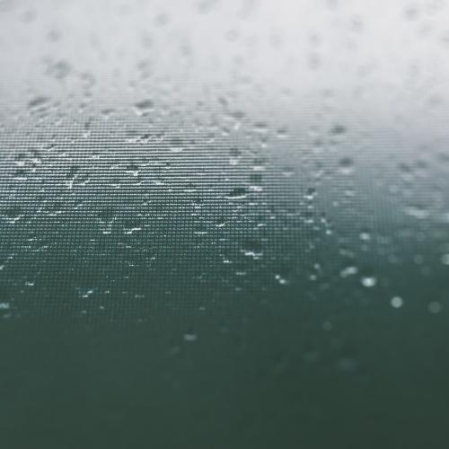 记住小雨