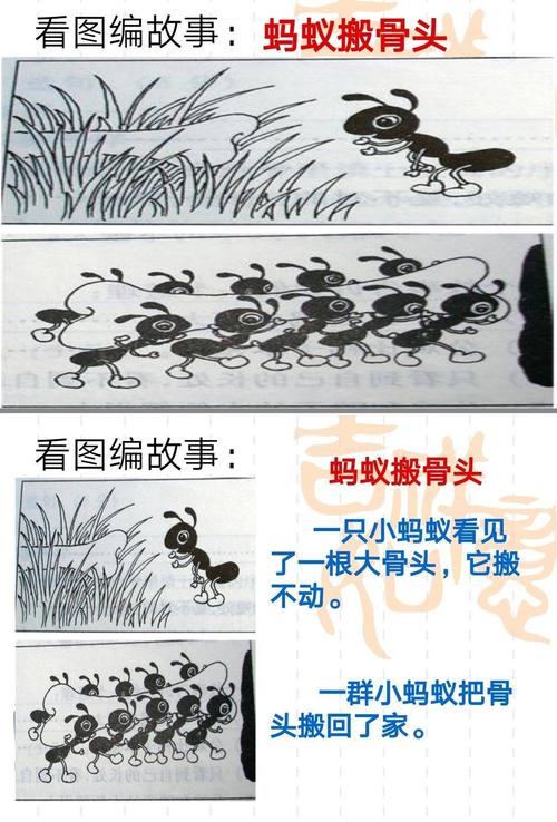 蚂蚁动动骨头看图片写字