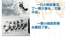 蚂蚁搬骨头看图写话
