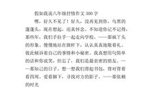 写外婆的作文抒情