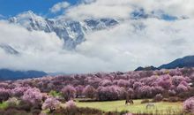 世界也是一种美