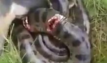 小举动也有大力量