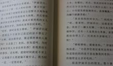 调皮的日子读后感