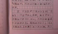春游作文300字