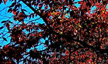 东河边的一年四季