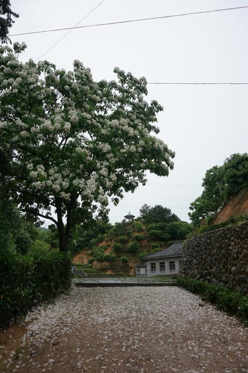 游览丽水“水上乐园”