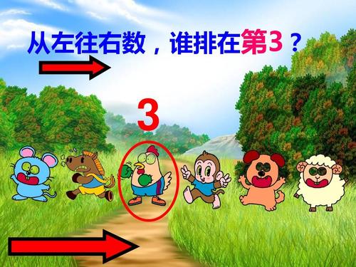 让我们一起保护小动物