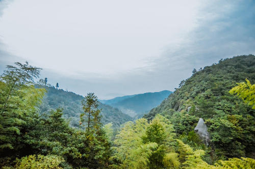 屋顶之旅