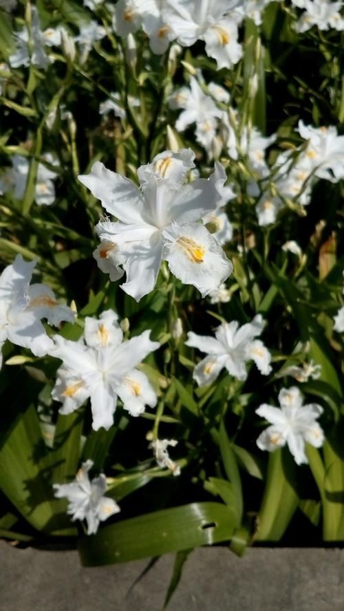 一次难忘的研究