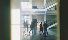 窗外永不变的身影