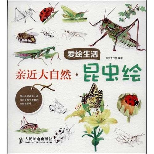亲近自然