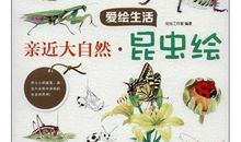 与自然亲近一次