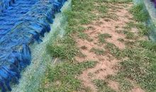 险乐相伴的春游