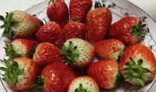 人间有味是粗饭