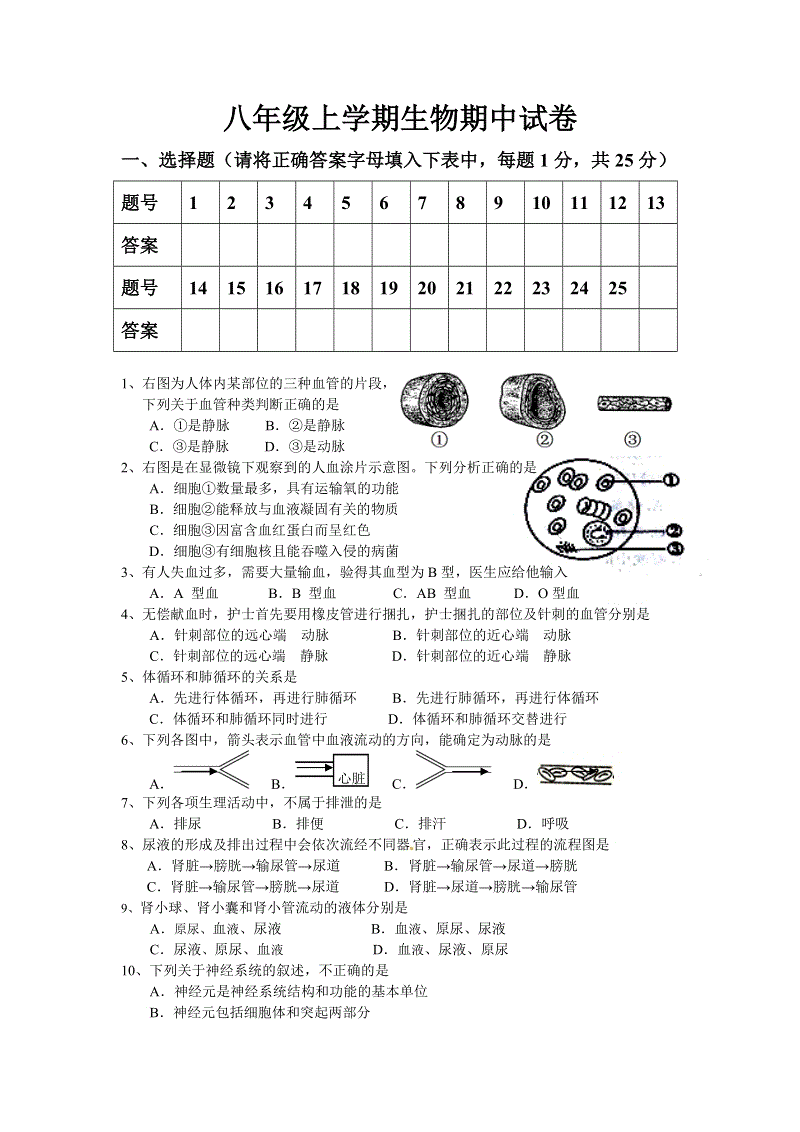 中期音乐考试