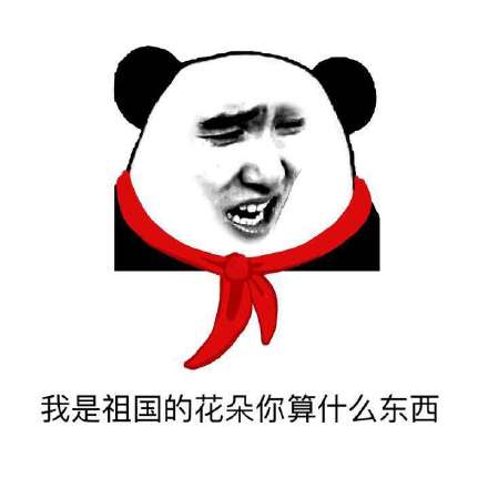 我是祖国的花朵