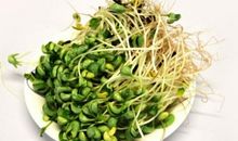 绿豆芽