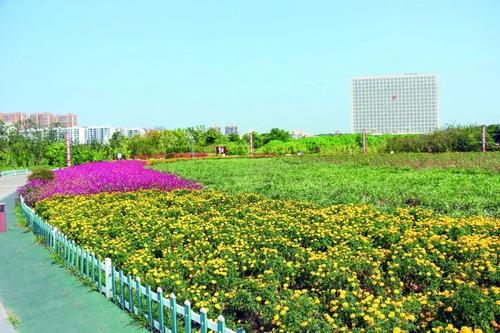故乡百花园