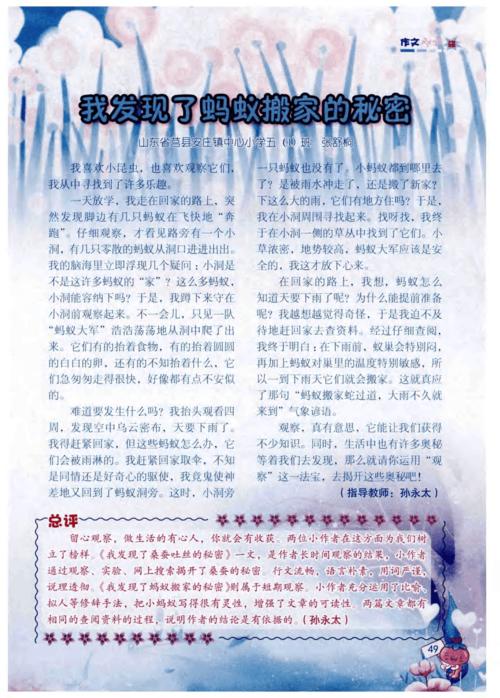 我发现了蚂蚁的奥秘