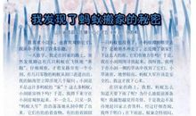 我发现了蚂蚁的奥秘