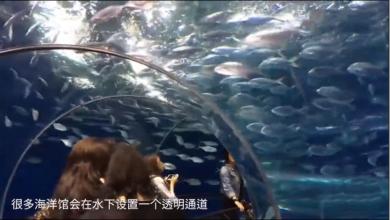 溜冰场上的东西很奇怪