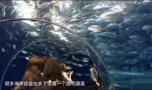 溜冰场上的奇葩事