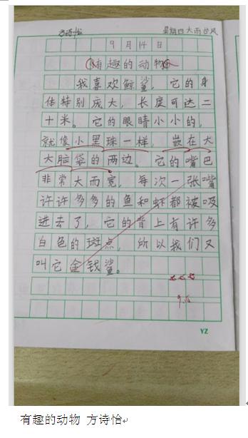 可爱的动物组成二年级