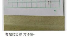 可爱的动物作文二年级