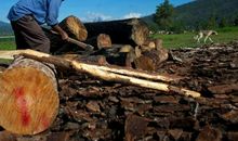 给森林伐木者的一封信