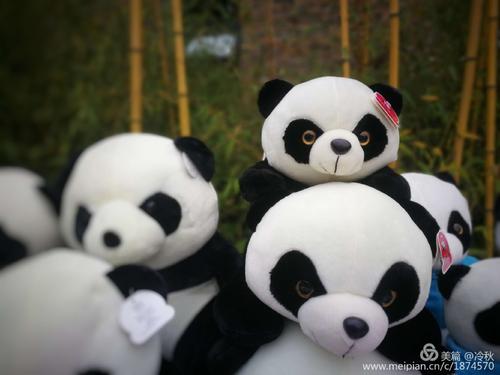 十一快乐之旅