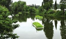 谈五水共治之治污水