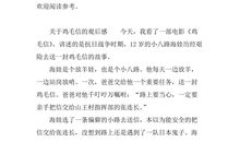 鸡毛信读后感400字